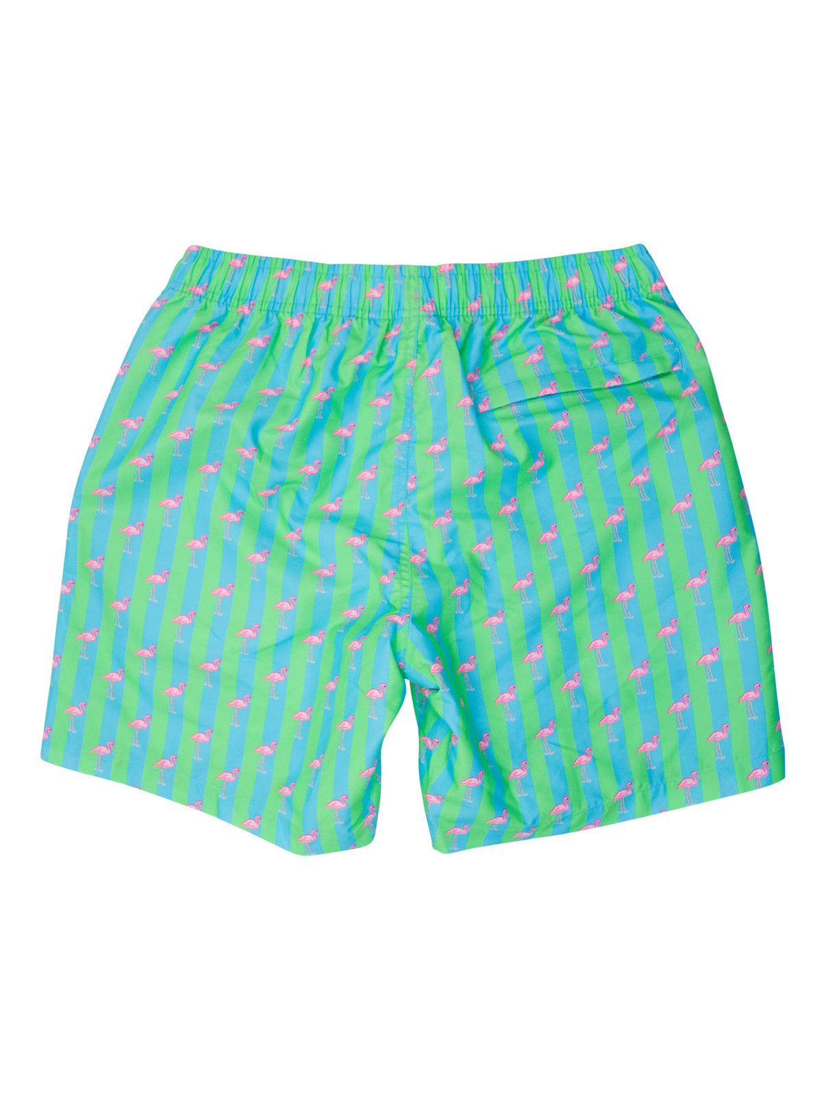 Men's Neon Flamingo Stripe Swim Trunks
: Green / Men's XXL
