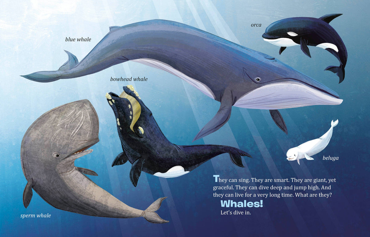 My Lgb About Whales